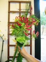 /album/galleria-foto-bouquet/foto-canon-002-jpg/